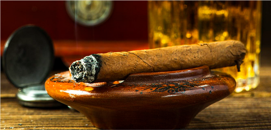 Davidoff’s Creation - From Seed to Cigar